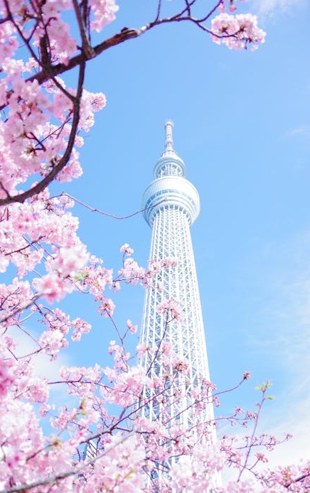 一位成功的YouTube创作者在工作室自信地微笑