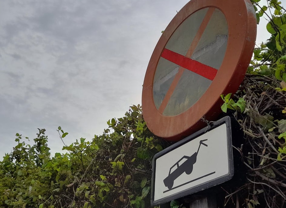 用户在手机上与脸书互动，体现了优质内容的重要性