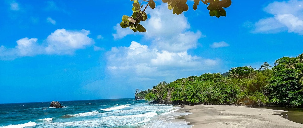 一位专注于创作高质量TikTok内容的视频博主