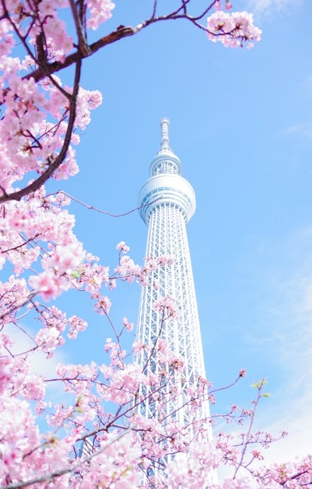 成功的YouTube创作者庆祝频道增长