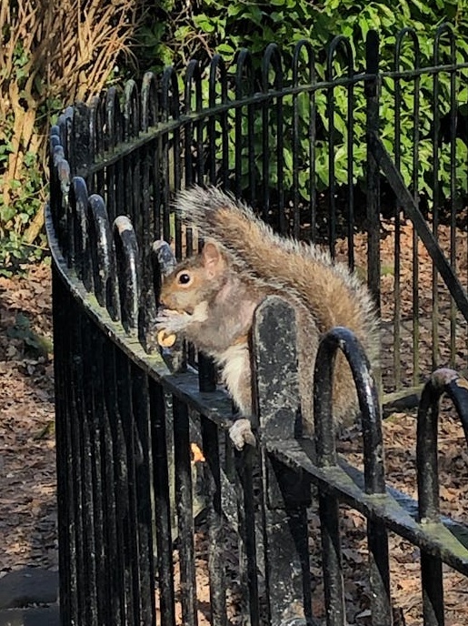 一个抽象的AI大脑网络，象征着智能技术