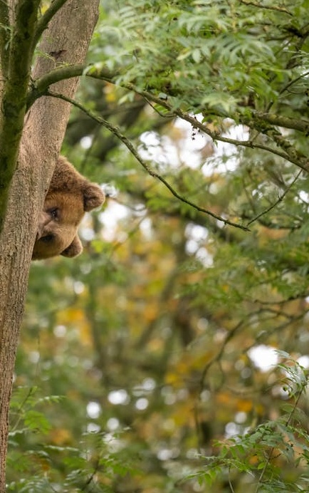 展望2025年及以后Facebook与元宇宙结合的营销新趋势