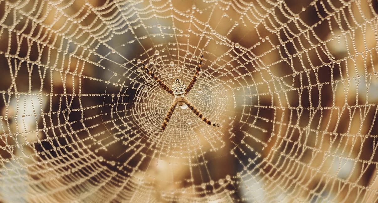 病毒式传播概念图，展示内容在社交网络中快速扩散