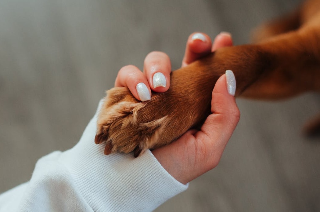 YouTube内容创作者正在精心制作视频