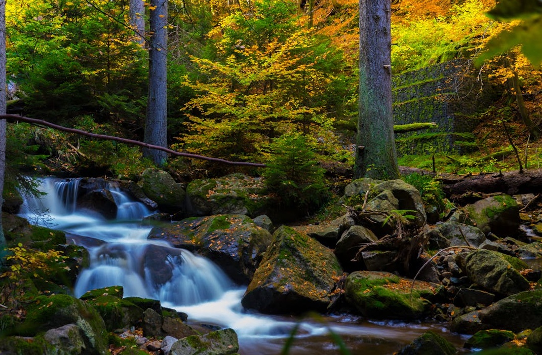 充满活力的YouTube视频评论区