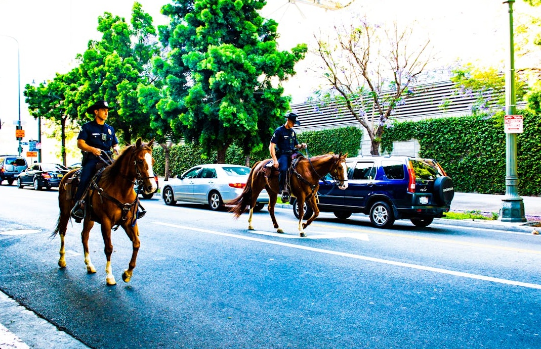 YouTube频道增长的催化剂概念图