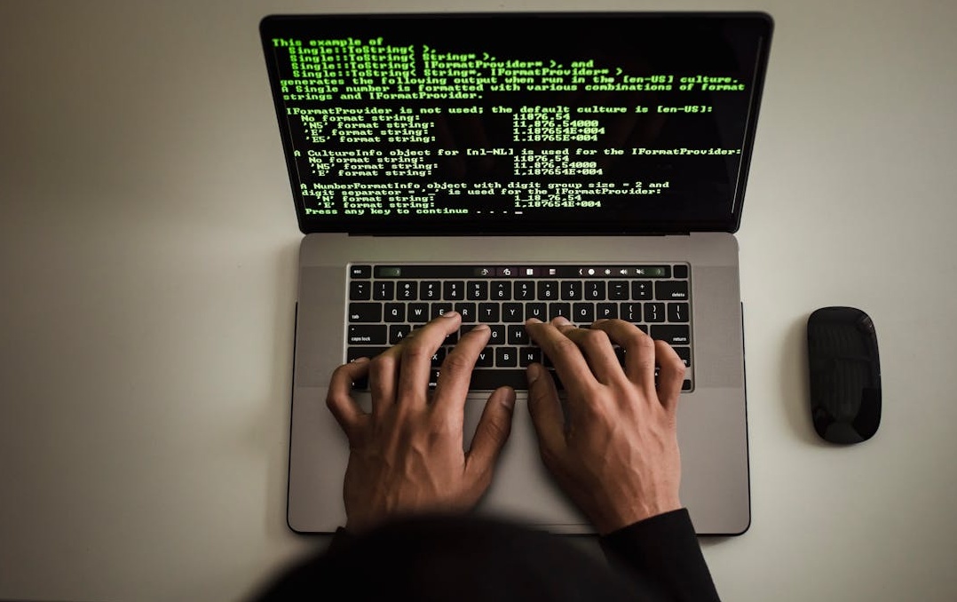 真实用户网络与虚假机器人网络的对比示意图