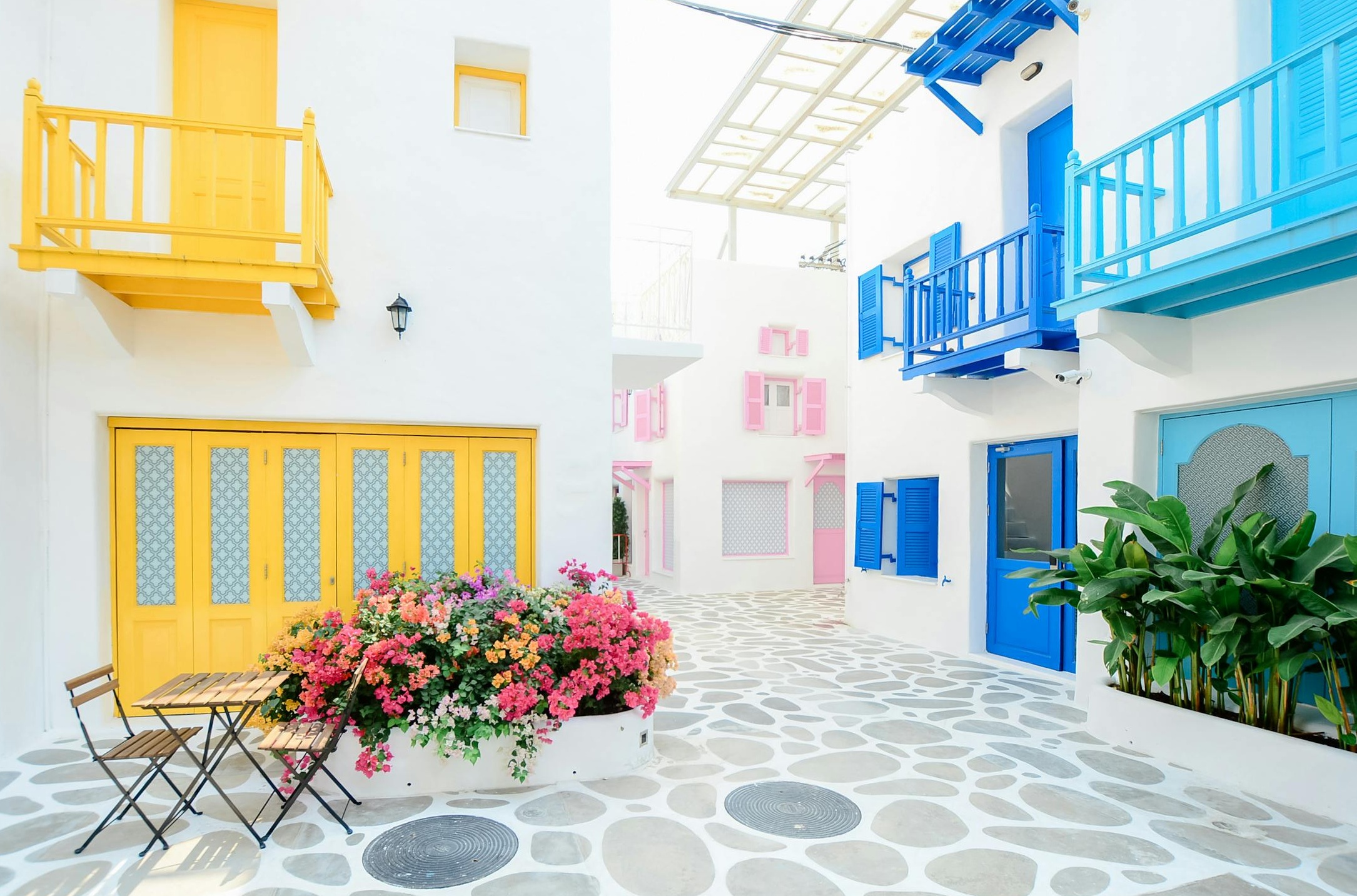 手机屏幕显示Instagram社交媒体界面及粉丝数字