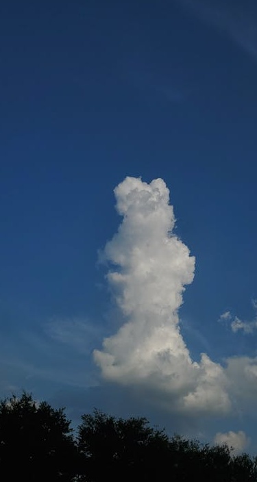 2025年通过Instagram Reels实现业务增长