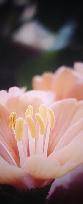 一个人在2025年使用手机浏览TikTok界面