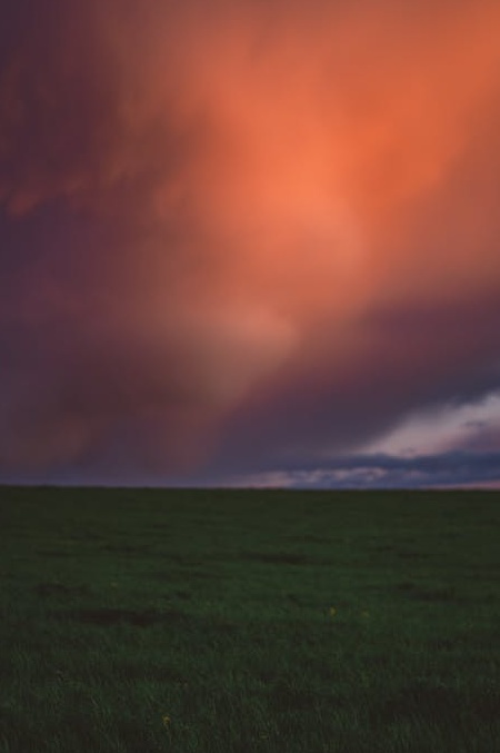 TikTok视频点赞数快速增长的示意图