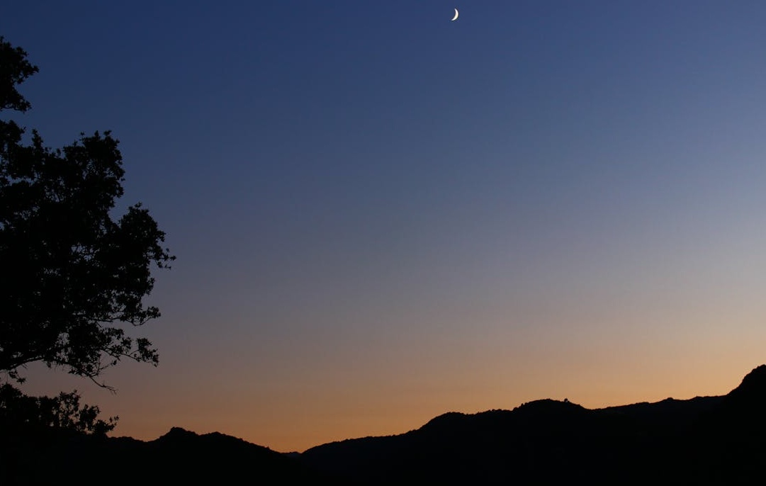 一张图表展示了推特(X平台)浏览量和互动量的持续增长趋势