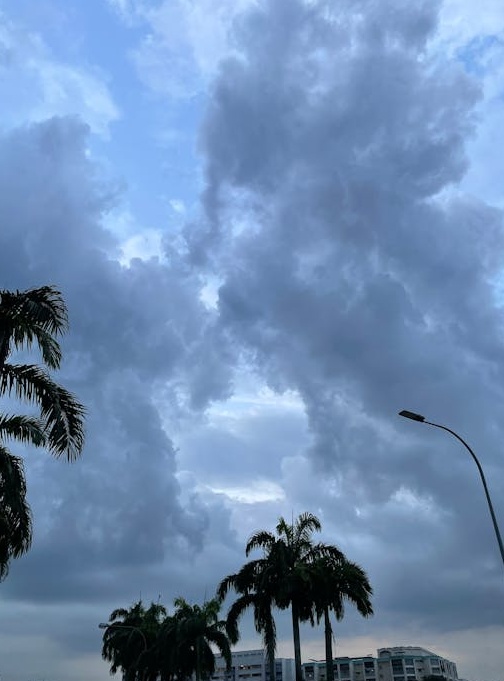 2025年推特(X)平台的社交影响力