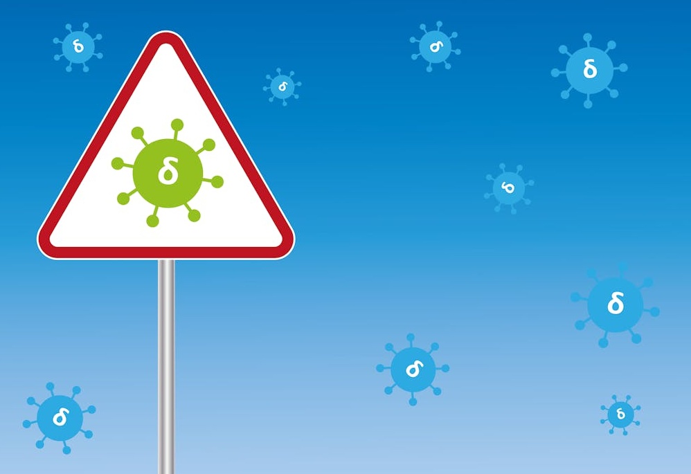 一个人在手机上查看Instagram个人资料页面，显示粉丝数量正在增长