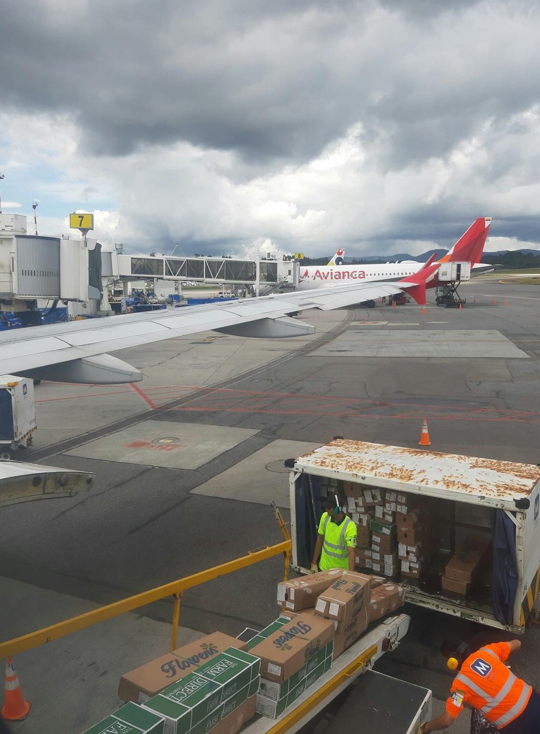 放大镜在各种服务选项上移动,寓意选择**优质LinkedIn视频点赞**服务商时需要细致考察和比较