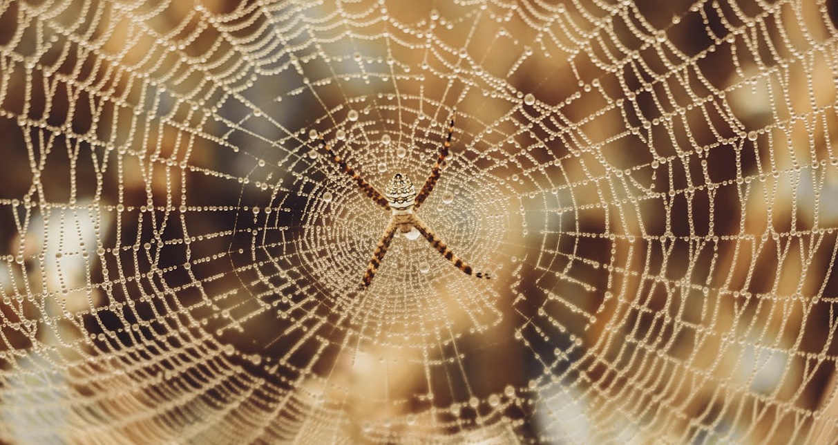 象徵Facebook影片內容病毒式傳播的網絡連接圖