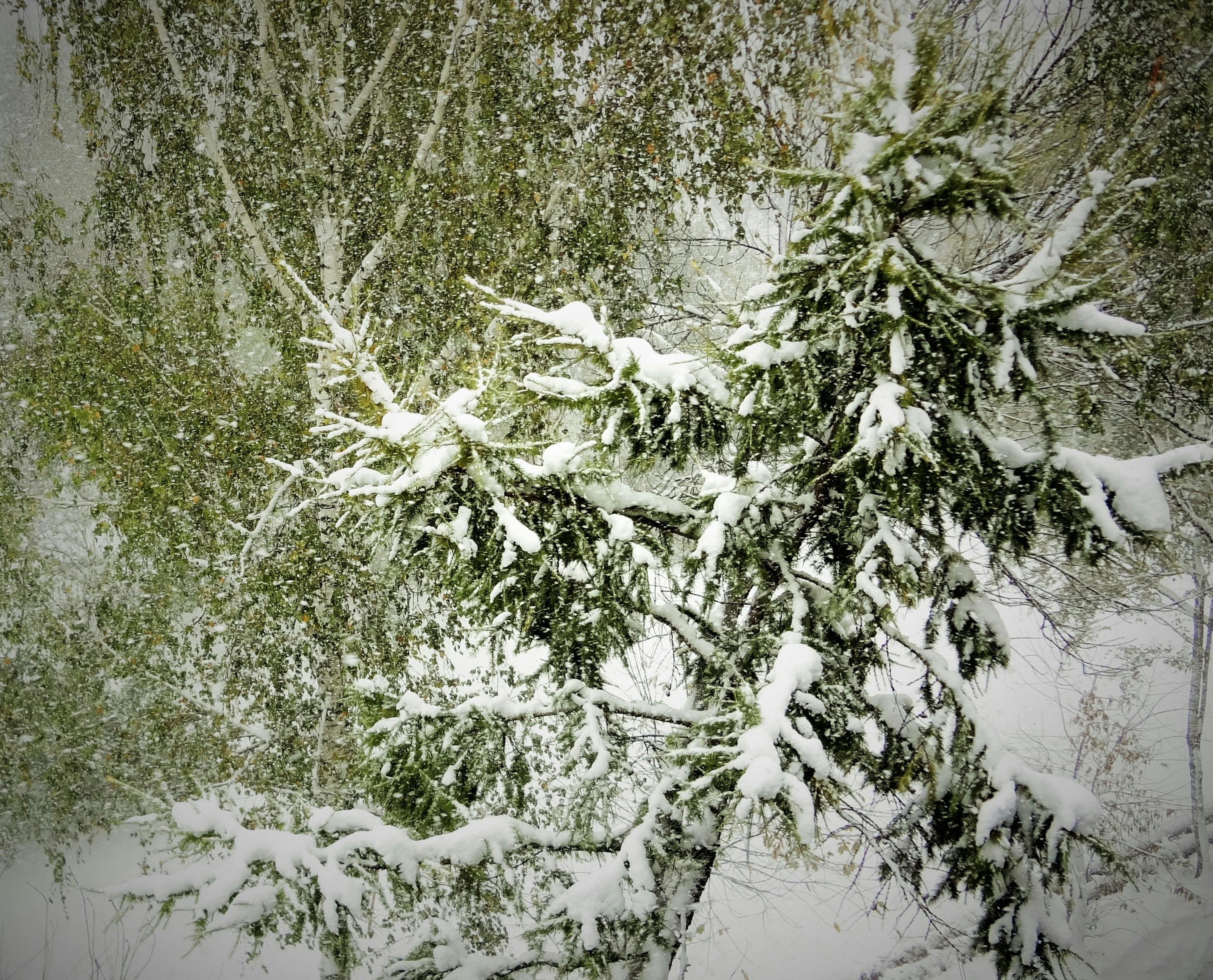 一张描绘增长趋势的数字图表,象征社交媒体账户的快速成长