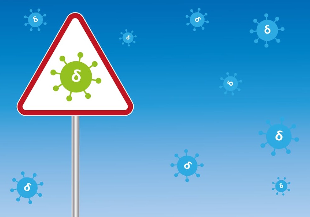 海外抖音TikTok视频的评论区界面