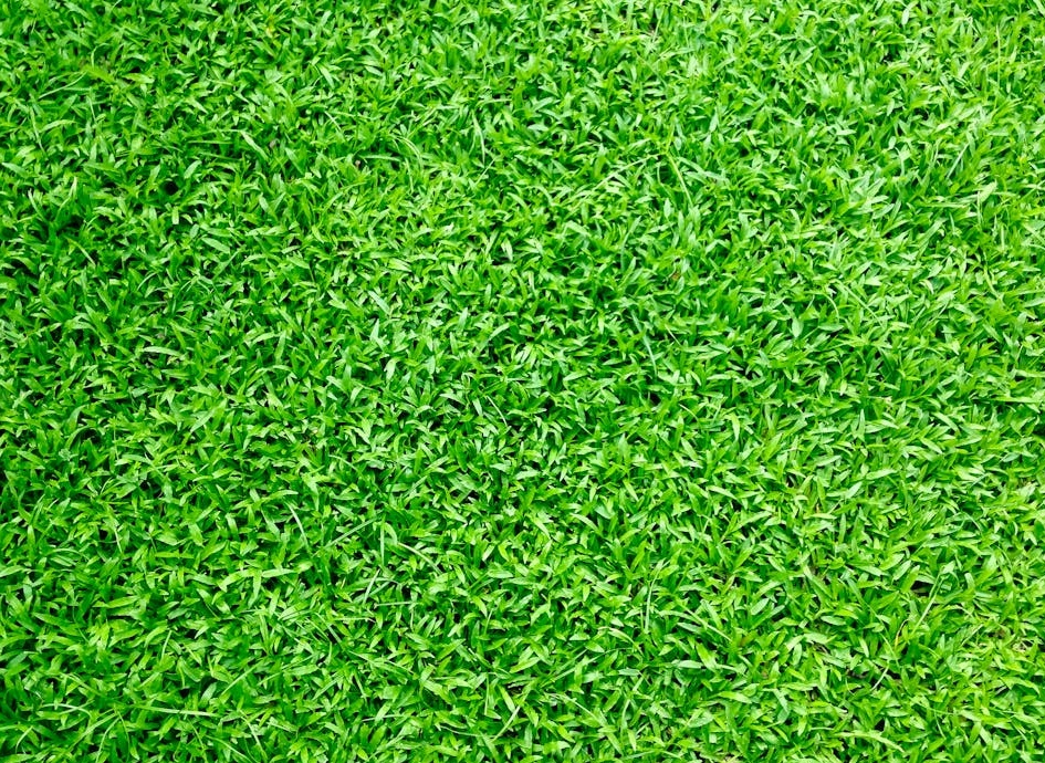 代表安全和隐私保障的盾牌和锁图标