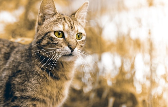 一个年轻人正在看手机上的Instagram