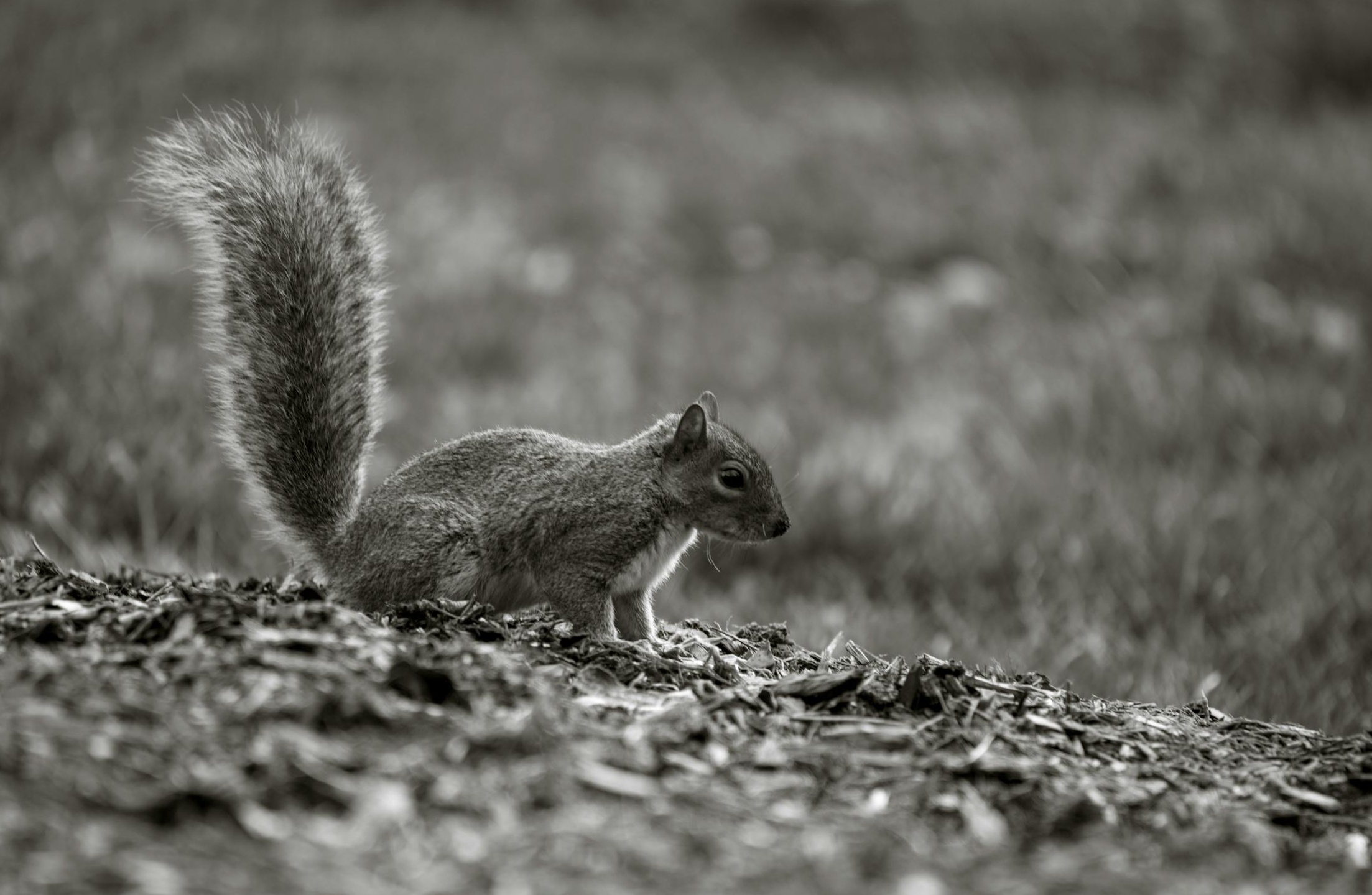 创新内容营销策略:吸引目标受众的关键