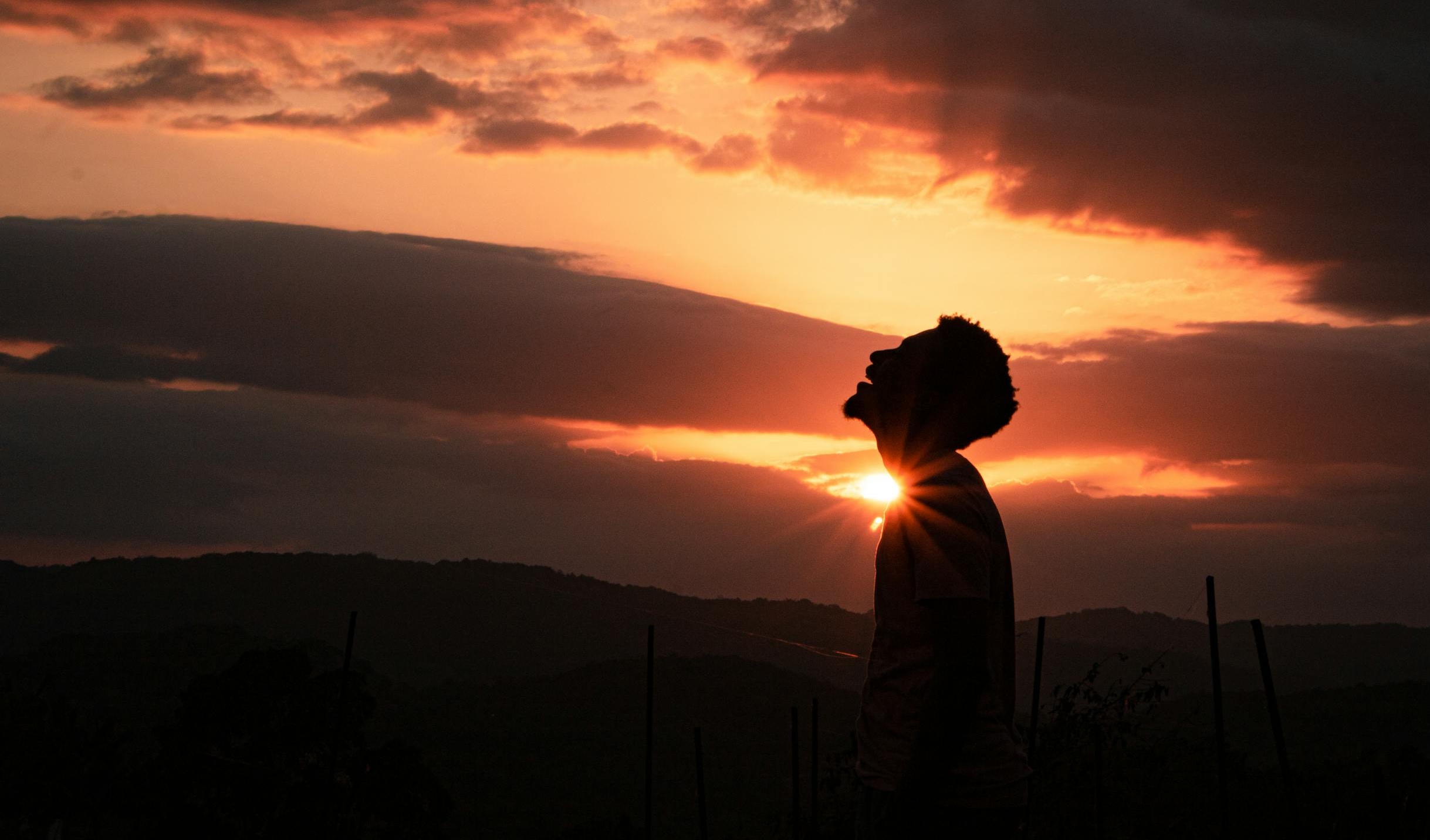 精准广告投放策略:定位高潜力受众