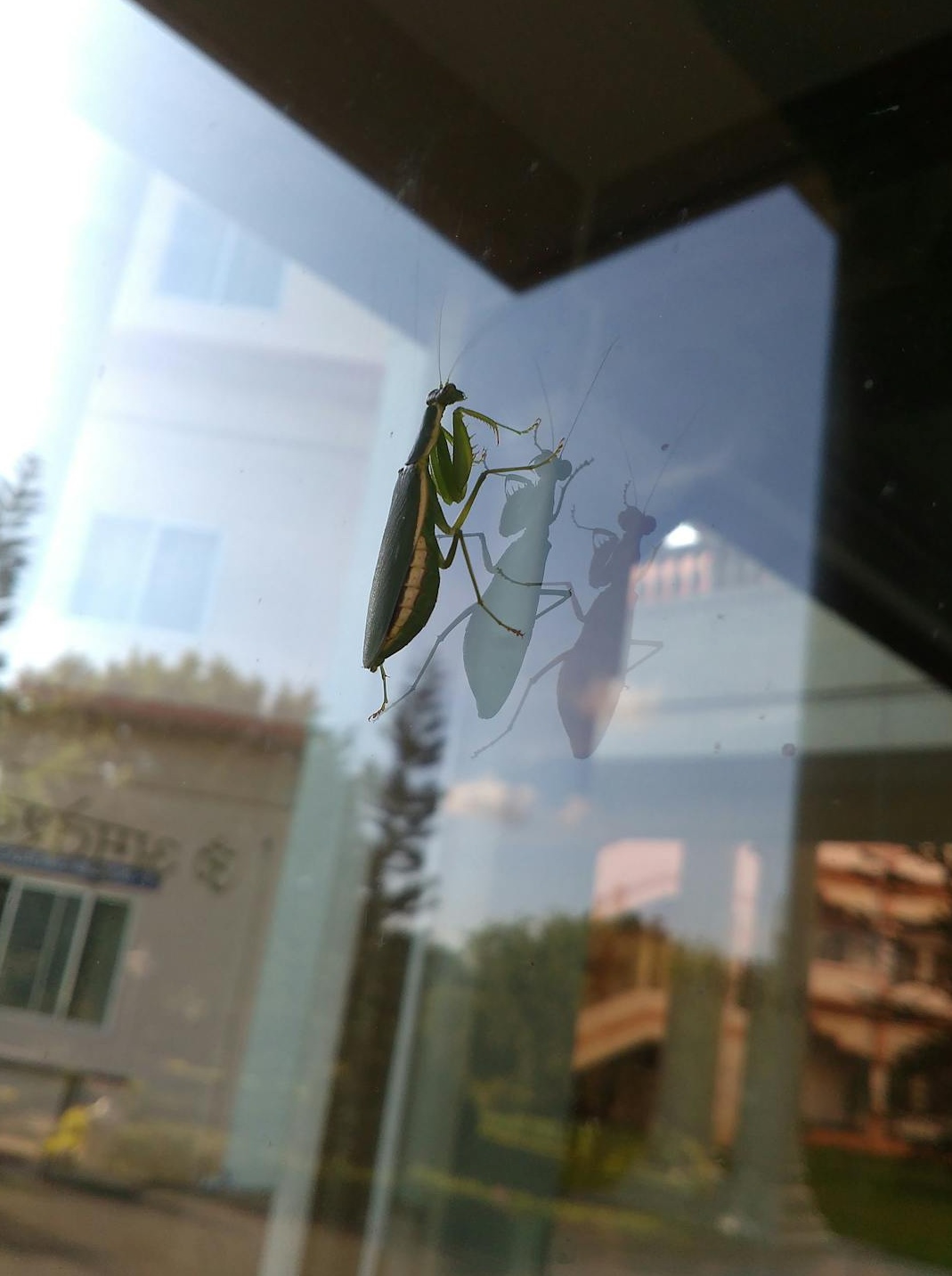 一只手指点击屏幕上带有'立即开始'按钮的图像,象征一键操作