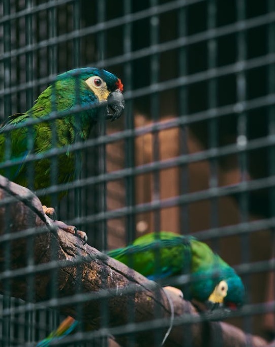 高质量内容创作与领英用户互动