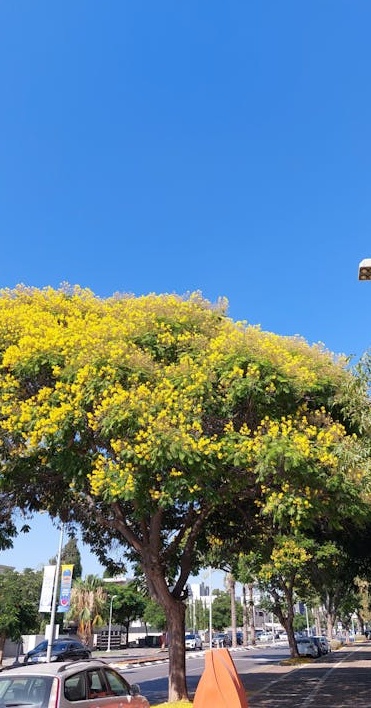 正在进行脸书直播的主播