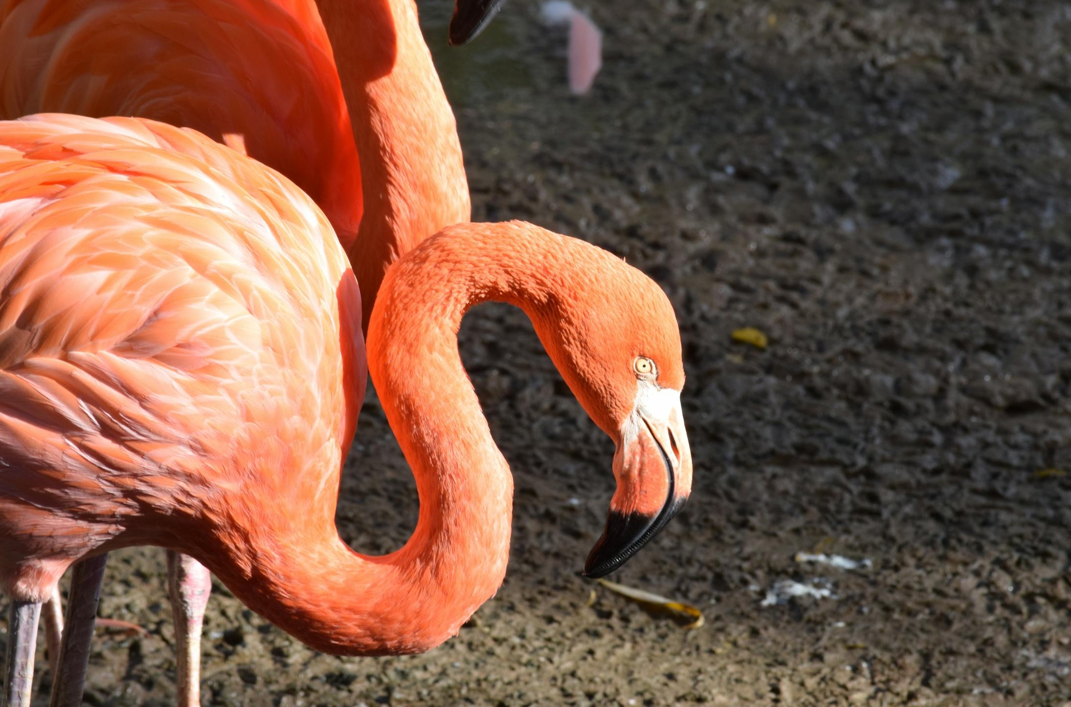 一群不同背景的人在交流和互动,象征着推特社群建立和积极的用户互动