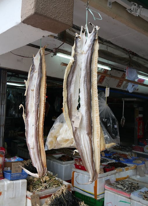 智能手机屏幕上显示社交媒体营销图标和策略