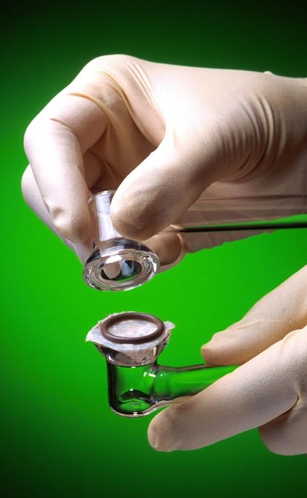 快速增长与市场拓展