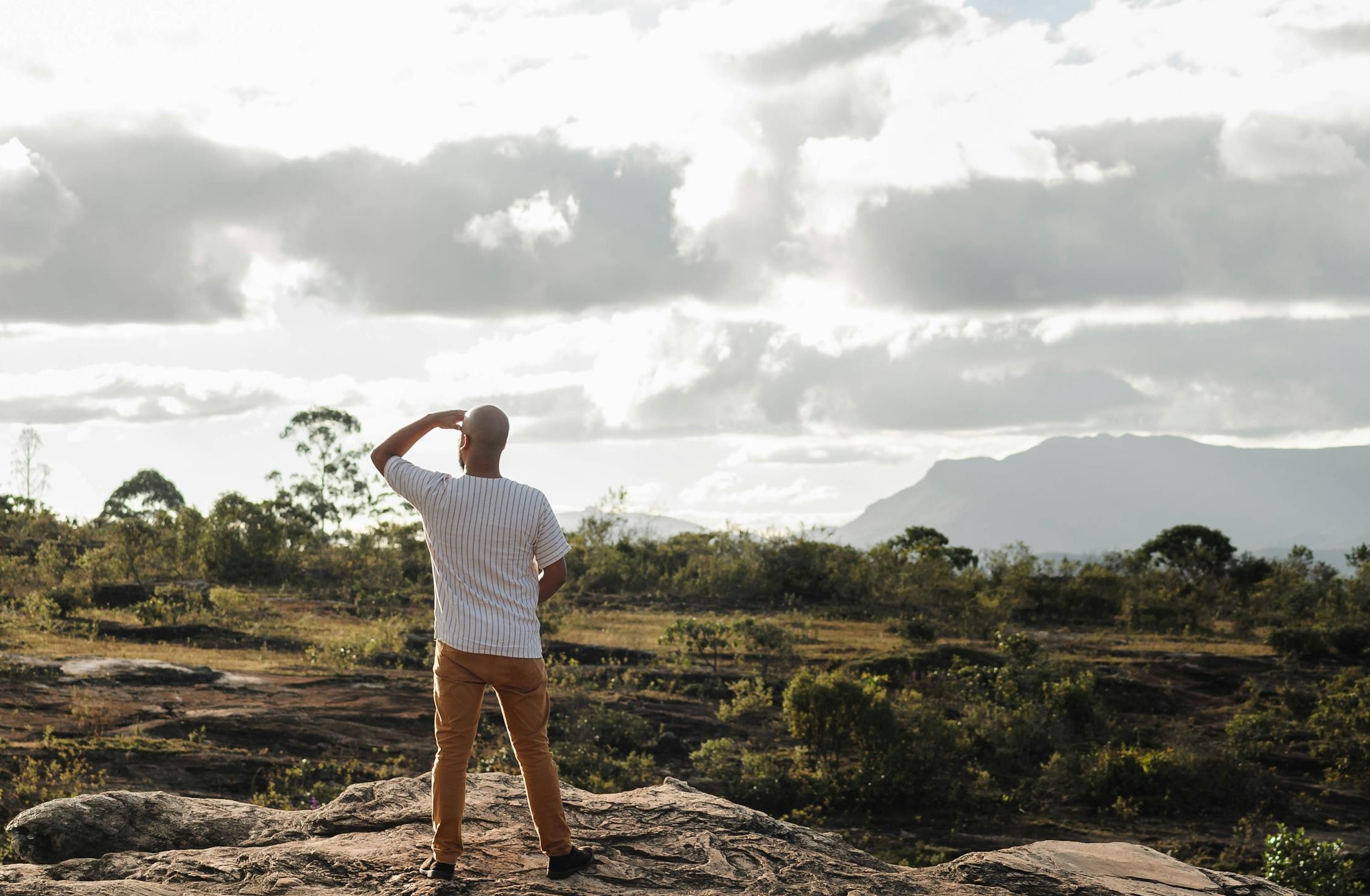 社交媒体影响力增长曲线