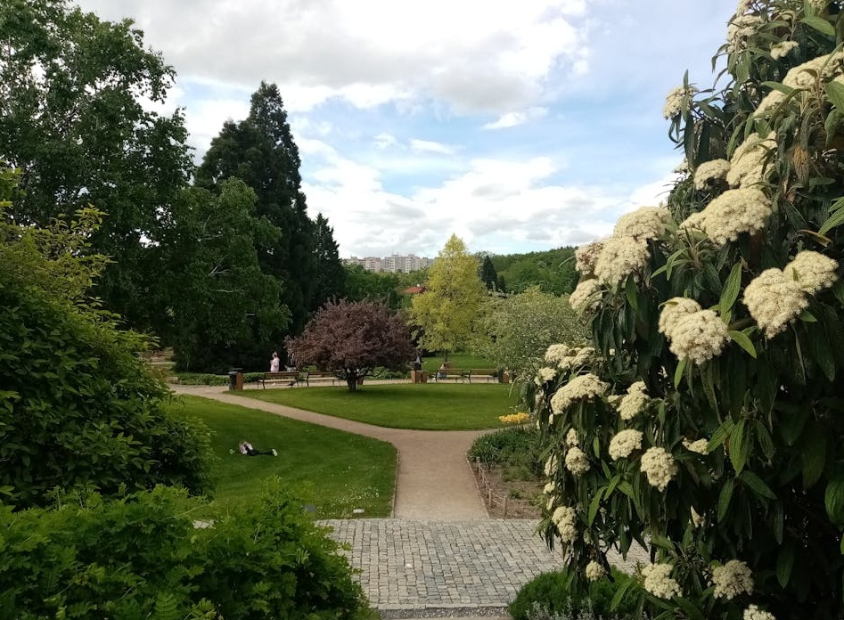 AI辅助的数字内容创作场景