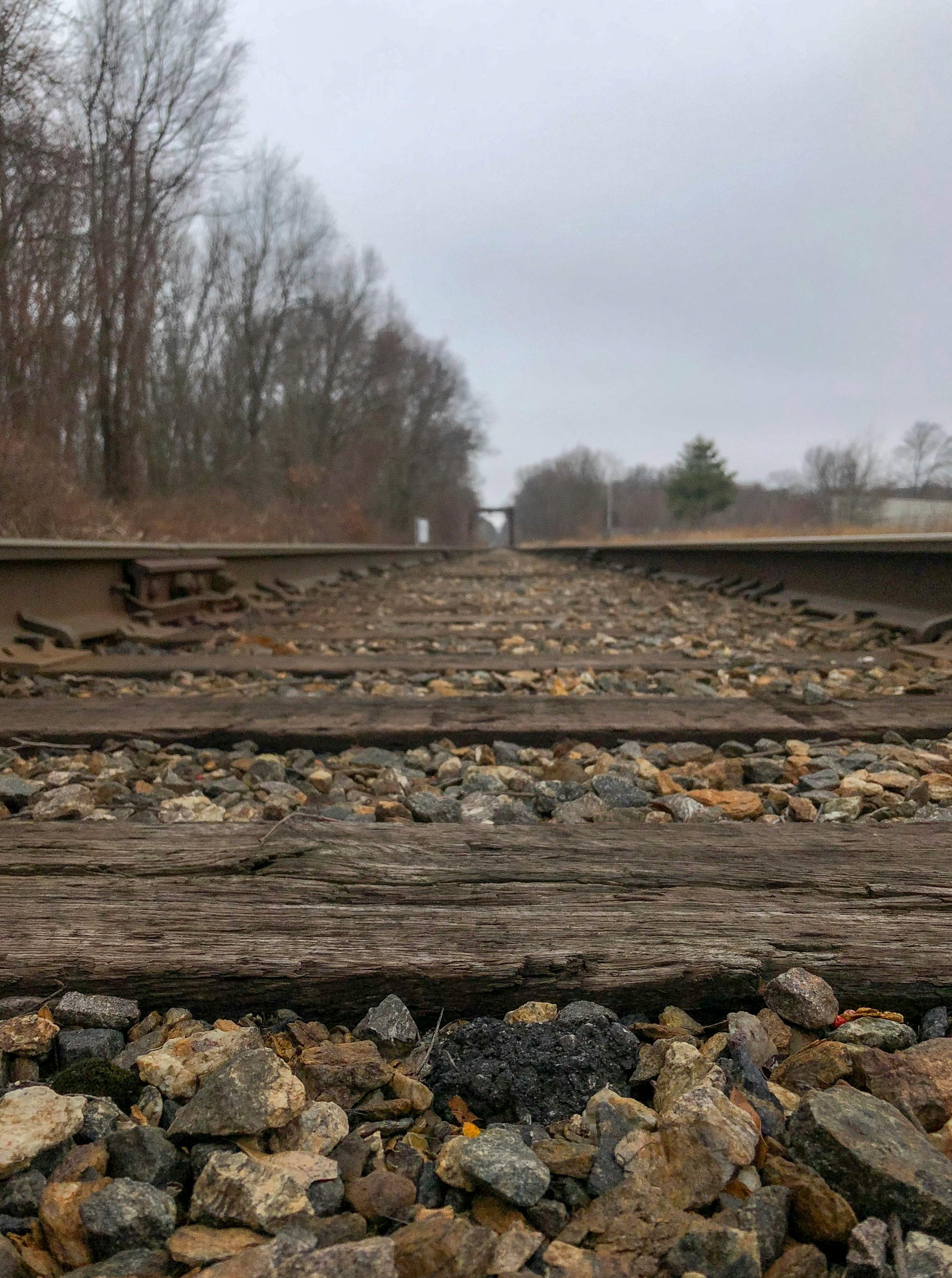 Twitter用户界面和通知