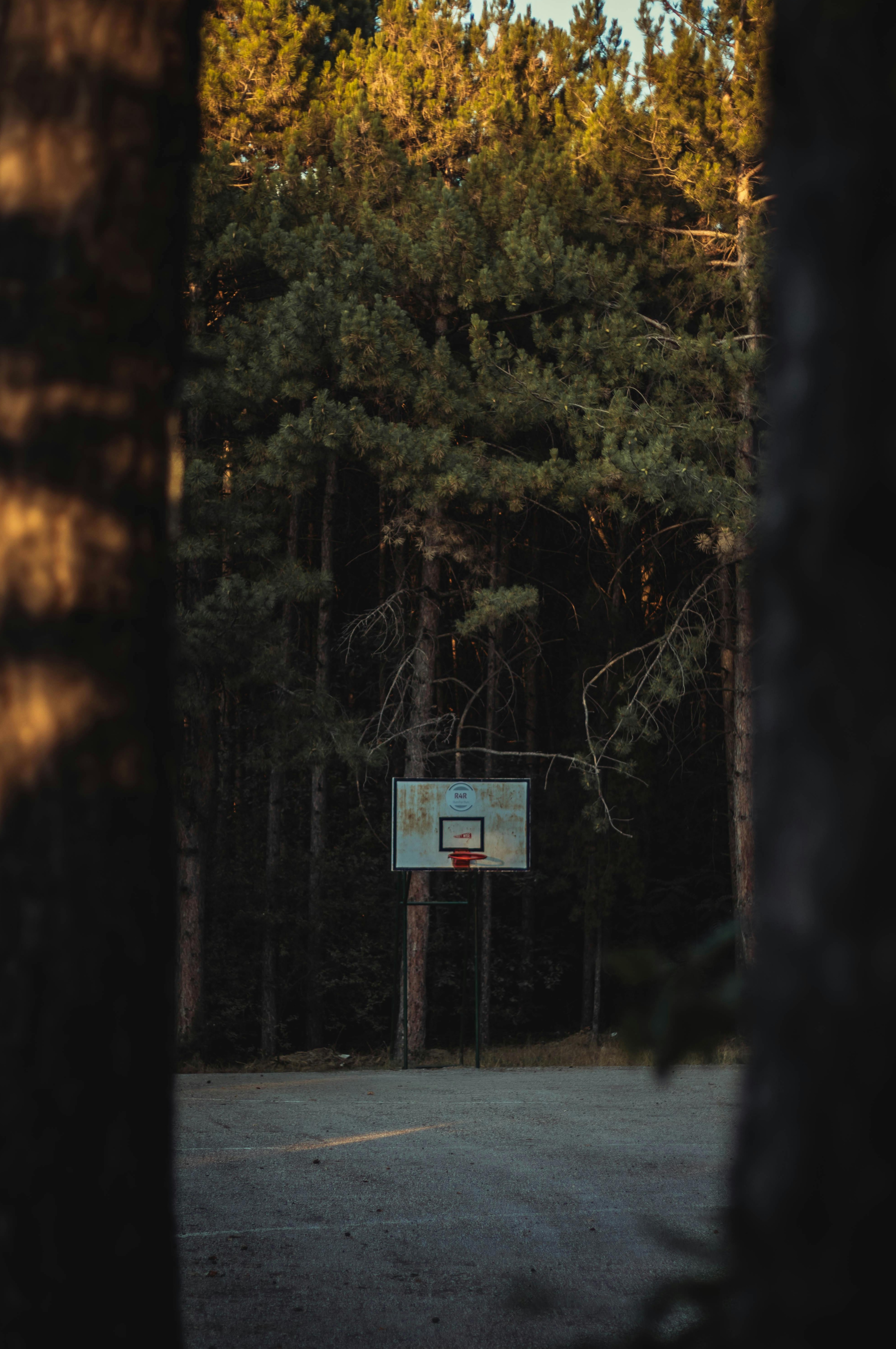 移动设备上的Twitter/X应用