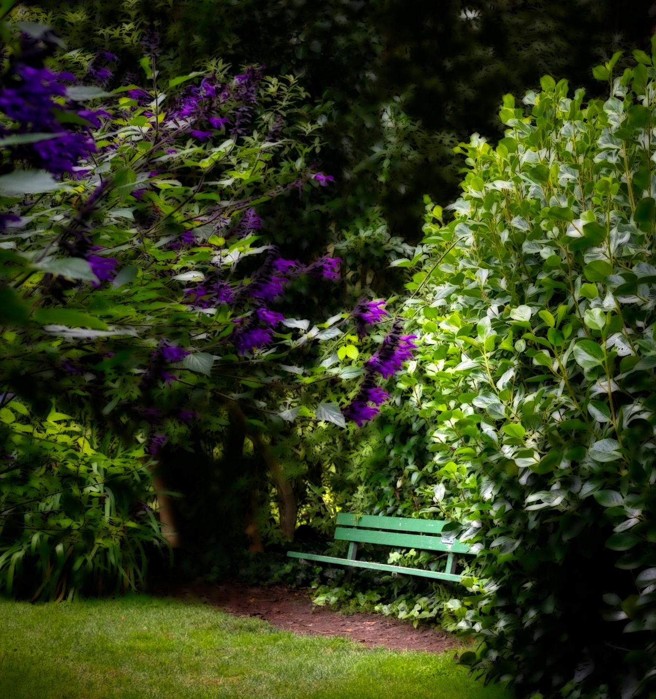 手机上显示TikTok界面的屏幕，背景虚化着活跃的人群