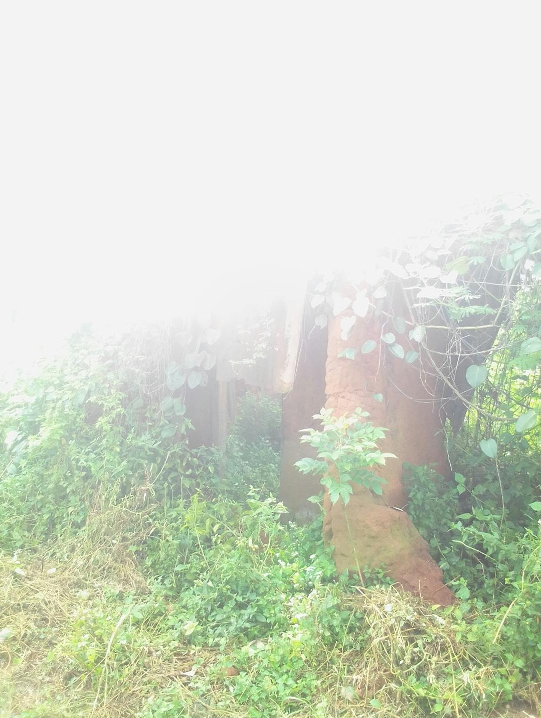 一个人在笔记本电脑上操作TikTok广告管理平台界面