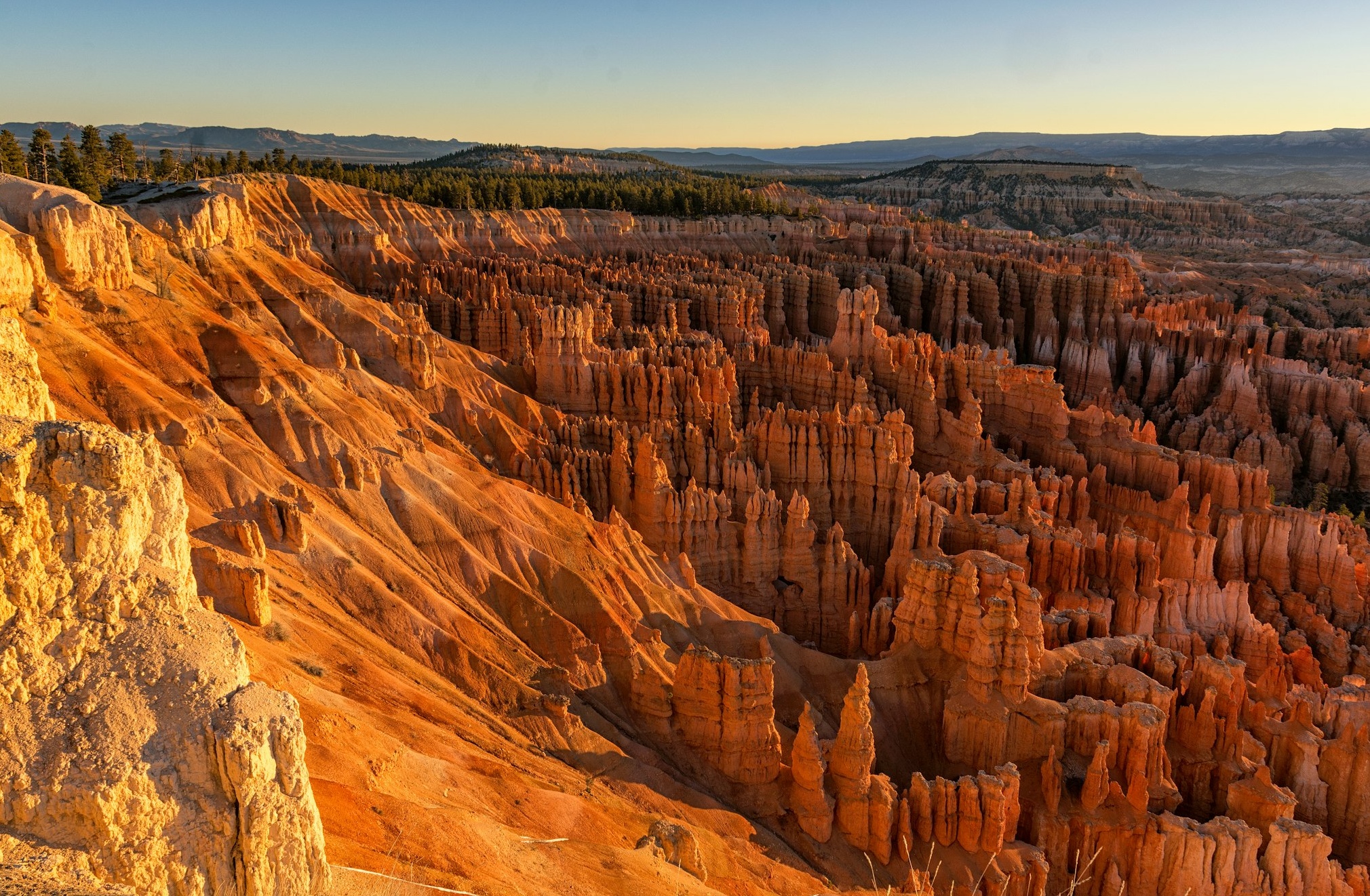 Instagram洞察报告与数据分析