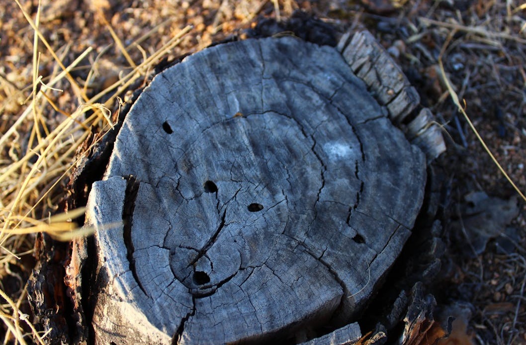 内容创作者在电脑前分析YouTube数据