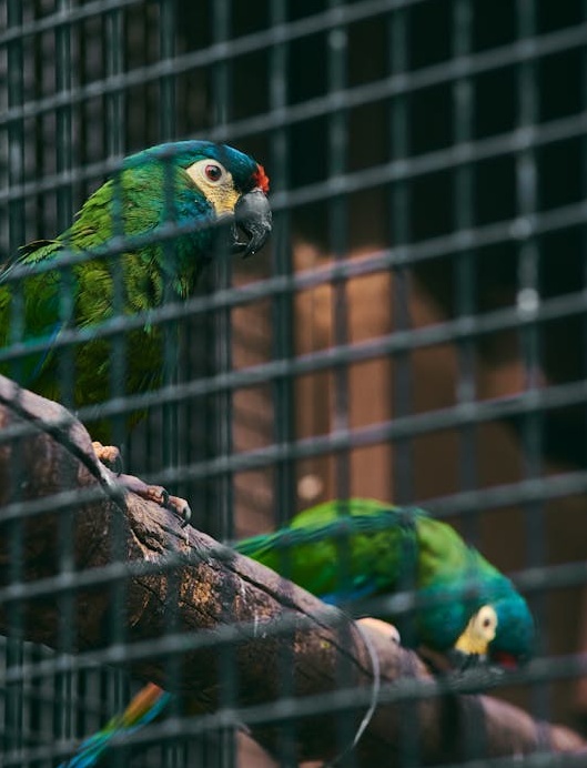 一位社交媒体营销专家正在筛选和分析数据,强调高质量互动的重要性