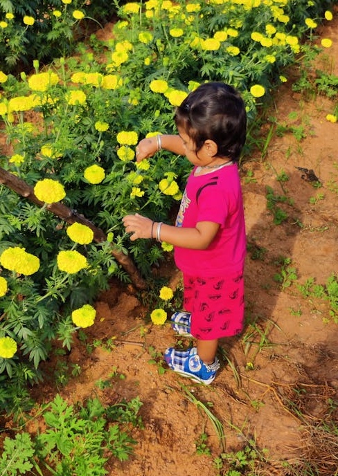 一只手拿着手机,屏幕上清晰显示着Twitter的“X”Logo和一个大大的点赞手势图标,背景虚化