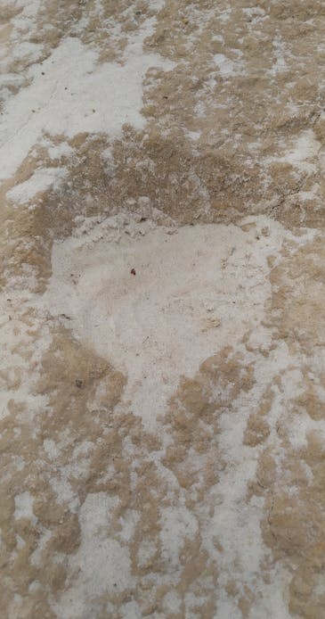 手持手机正在刷TikTok，屏幕上显示点赞和互动