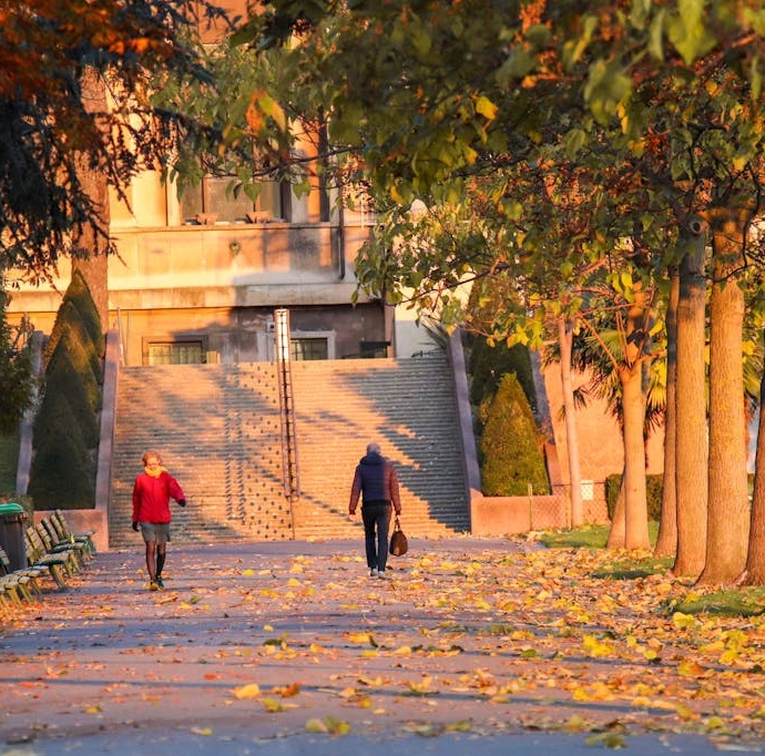 SEO与数字营销数据分析