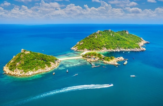 品牌成功推广的数字化解决方案