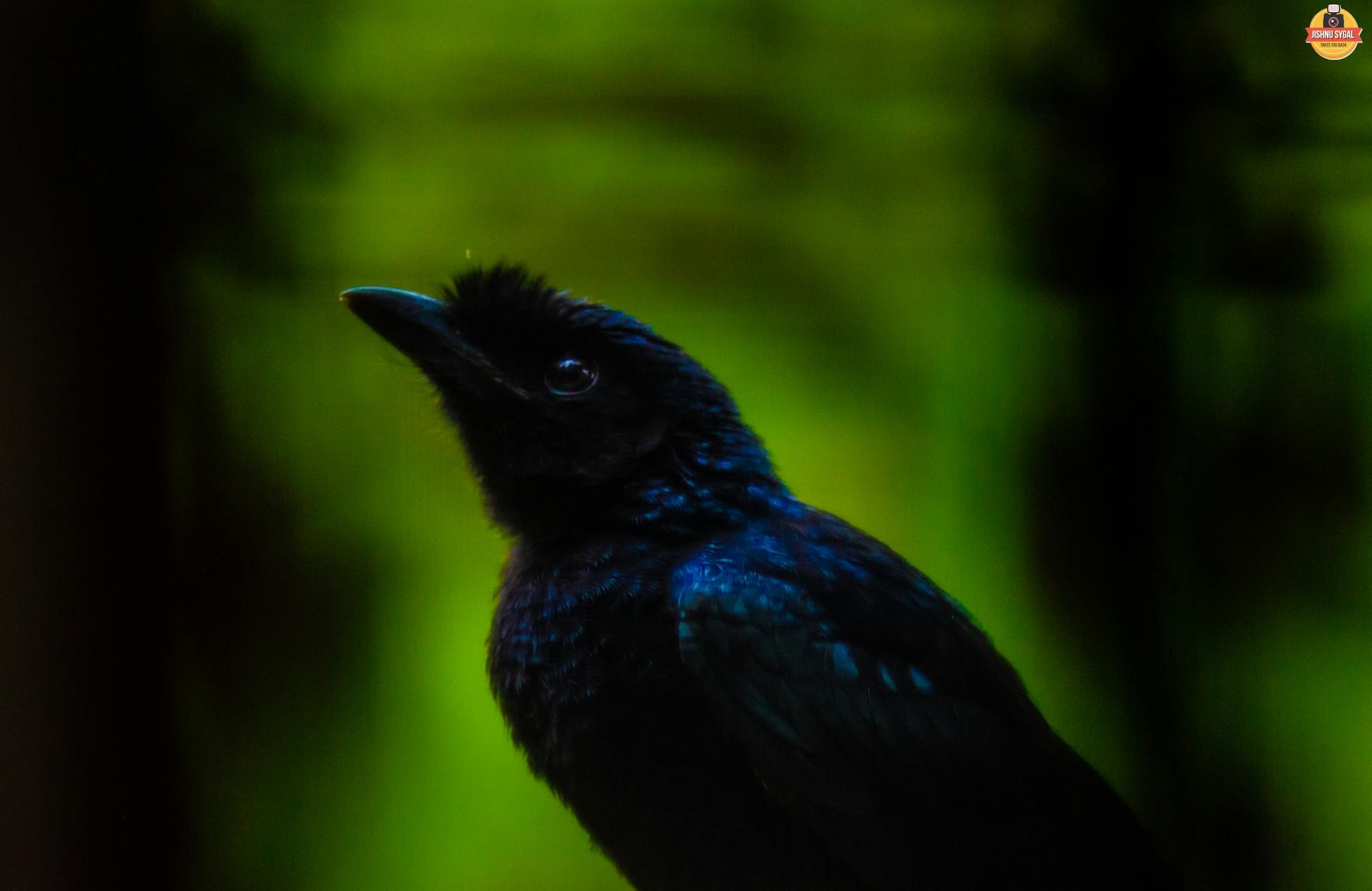 手机显示社交媒体图标和全球地图，象征推特在全球范围内的影响力与传播