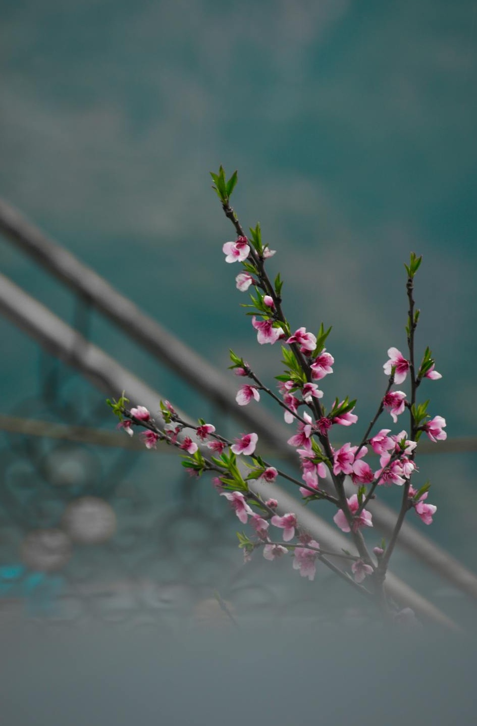 代表视频浏览量增长的上升趋势图