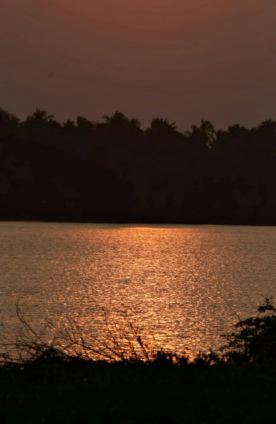 一个人用手机观看YouTube Shorts视频，屏幕上显示着短视频内容和播放界面，体现YouTube新功能的利用