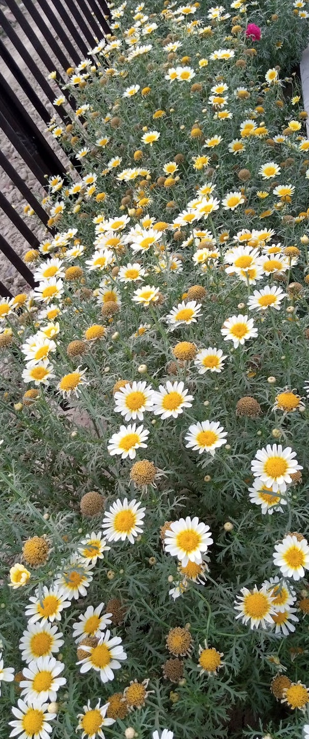 一张电脑屏幕展示YouTube Analytics分析界面，柱状图和折线图显示频道数据，旁边有笔和纸，寓意数据分析与规划