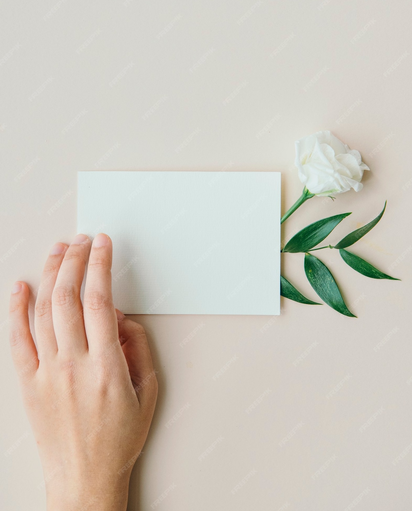 象征决策过程和比较不同服务选项的示意图